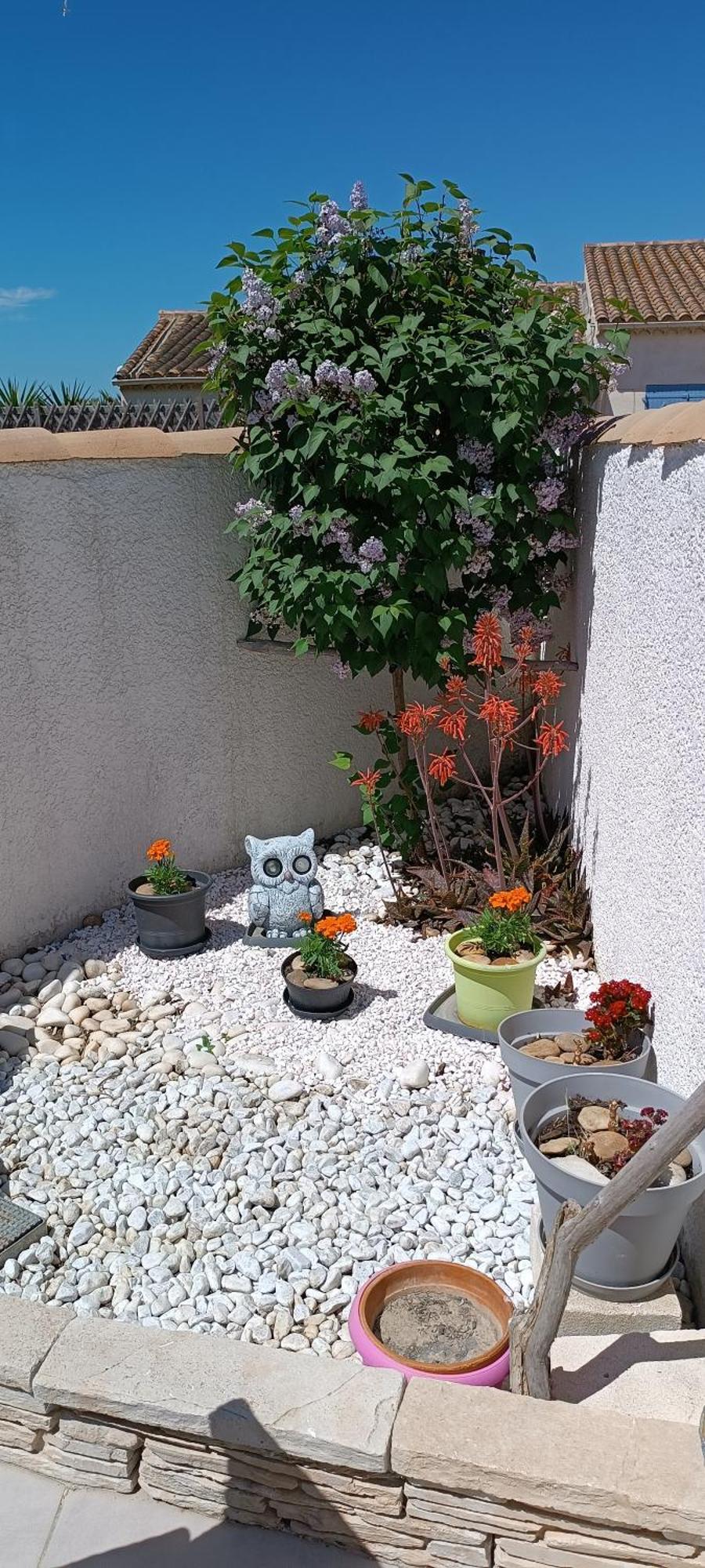 Lotissement Les Launes Du Couchant Appartement *